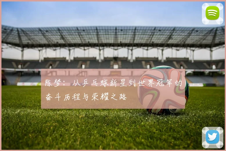 陈梦：从乒乓球新星到世界冠军的奋斗历程与荣耀之路