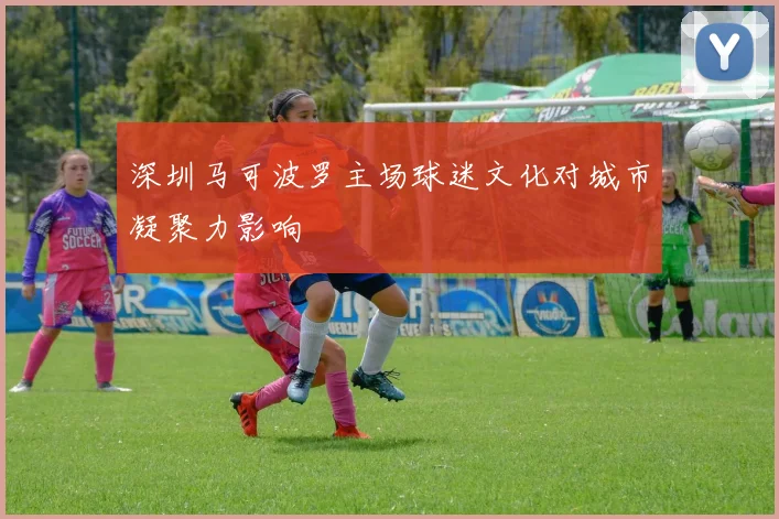 深圳马可波罗主场球迷文化对城市凝聚力影响