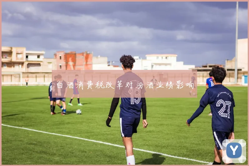 白酒消费税改革对汾酒业绩影响