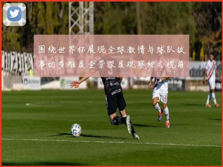 围绕世界杯展现全球激情与球队故事的多维度全景深度观察综合视角