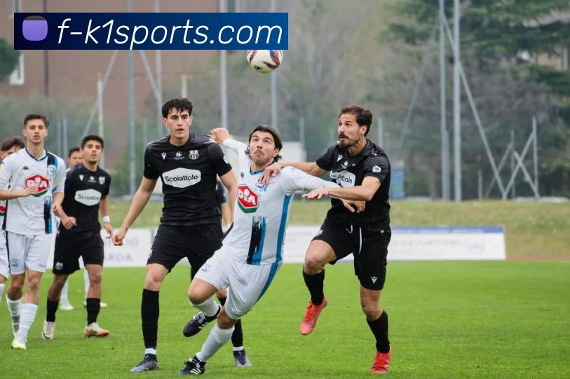 k1sports平台生态图